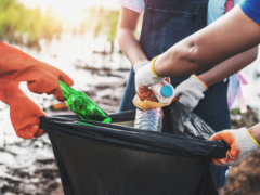 volunteer woman picking up garbage plastic for cleaning at river park
