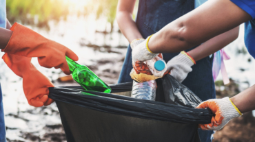 volunteer woman picking up garbage plastic for cleaning at river park